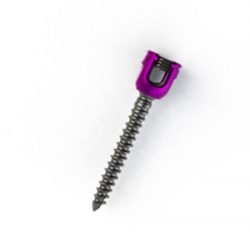 Alecta Spinal Stabilisation screws